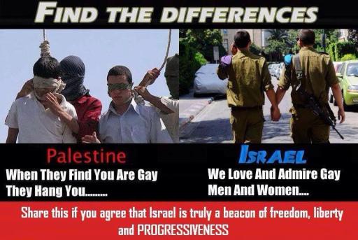 palestine-homophobia-meme.jpg